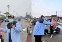 Dewan Pengurus Daerah Badan Komunikasi Pemuda Remaja Masjid Indonesia (DPD BKPRMI) Kabupaten Tebo menggelar pembagian masker gratis Tebo pada Selasa (1/9/2026).(poto: jambiprima.com).