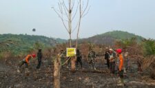Personel Brimob Polda Jambi menggelar patroli terpadu gajah Tebo bersama instansi terkait di kawasan konservasi Kabupaten Tebo pada Sabtu, (05/09/2026).(poto: jambilink.id).