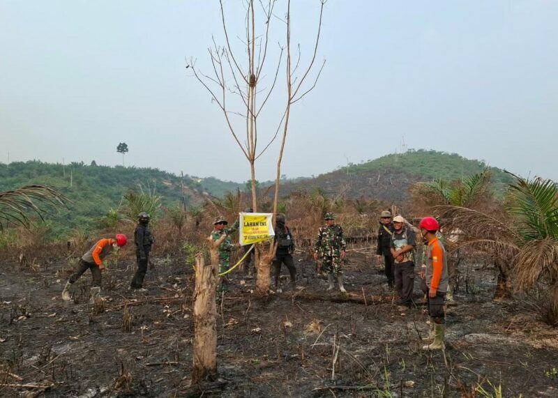 Personel Brimob Polda Jambi menggelar patroli terpadu gajah Tebo bersama instansi terkait di kawasan konservasi Kabupaten Tebo pada Sabtu, (05/09/2026).(poto: jambilink.id).