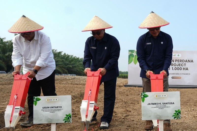 PT Perkebunan Nusantara IV PalmCo resmi memulai program tanam kedelai di Kebun Adolina Regional II PTPN IV PalmCo, Kabupaten Serdang Bedagai, Jumat (28/8/2026).(poto: jambilink.id).