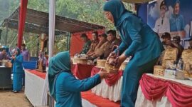 Ketua TP PKK Merangin, Ny. Lavita Syukur, menggelar acara puncak peringatan HKG ke-54 Merangin dengan aksi nyata di Desa Tiangko, Kecamatan Sungai Manau.(poto: kominfo).