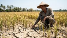 Ilustrasi:Sawah retak akibat kemarau di Batanghari, Jambi. Petani terancam gagal panen karena pasokan air yang mengering parah.(poto: AI).