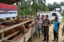 Ilustrasi petugas memeriksa fisik ternak sapi bantuan di kandang kelompok tani Kabupaten Muaro Jambi guna memastikan volume pengadaan.(poto: AI).