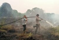 Tim gabungan bergerak cepat memadamkan peristiwa kebakaran lahan di Muaro Jambi yang melanda kawasan RT 06, Desa Sumber Jaya, Kecamatan Kumpeh Ulu, Jumat (2/10/2026).(poto: jambiprima.com).