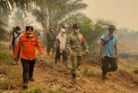 Gubernur Jambi Al Haris bersama Komandan Korem 042/Garuda Putih Brigjen TNI Nyamin meninjau langsung penanganan karhutla di Kumpeh pada Minggu siang (18/10/2026).(poto: jamberita.com).
