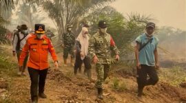 Gubernur Jambi Al Haris bersama Komandan Korem 042/Garuda Putih Brigjen TNI Nyamin meninjau langsung penanganan karhutla di Kumpeh pada Minggu siang (18/10/2026).(poto: jamberita.com).