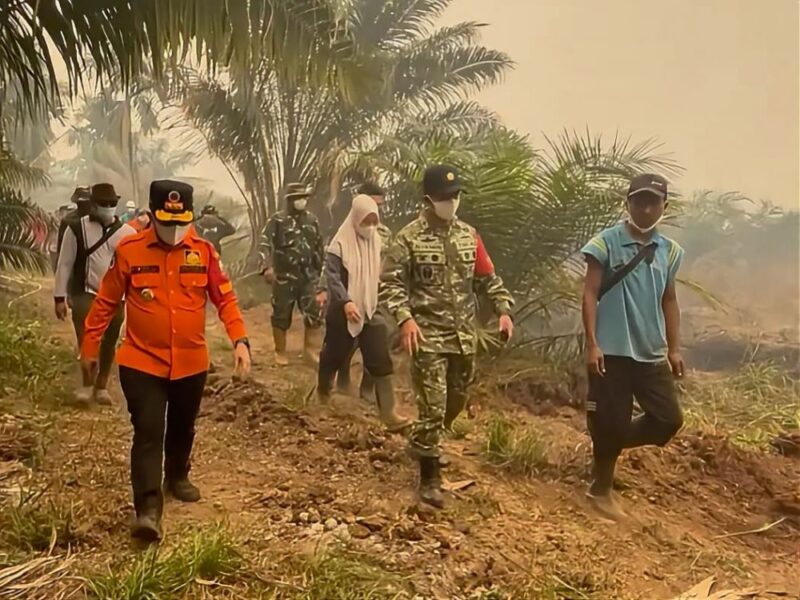 Gubernur Jambi Al Haris bersama Komandan Korem 042/Garuda Putih Brigjen TNI Nyamin meninjau langsung penanganan karhutla di Kumpeh pada Minggu siang (18/10/2026).(poto: jamberita.com).