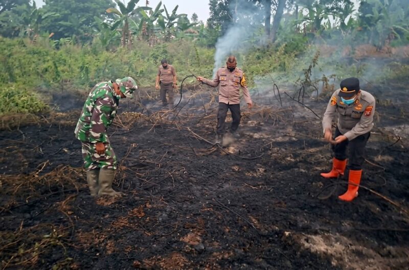 Tim gabungan memadamkan kebakaran lahan semak belukar seluas lima hektare di Dusun Pasir Raya, Desa Sungai Duren, Kabupaten Muaro Jambi, Selasa (29/9/2026).(poto: istimewa).