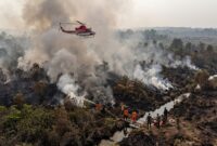 Ilustarsi Petugas gabungan membasahi lahan gambut Jambi di bawah kepulan asap pekat, sementara helikopter bom air siap beroperasi.(poto: AI).