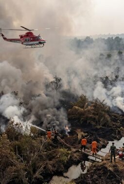 Asap Tebal Hambat Helikopter Padamkan Karhutla Gambut Jambi
