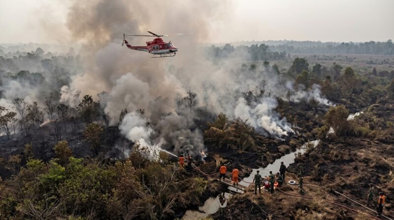 Ilustarsi Petugas gabungan membasahi lahan gambut Jambi di bawah kepulan asap pekat, sementara helikopter bom air siap beroperasi.(poto: AI).