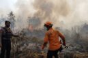 Ilustrasi Aparat Polri bersama tim gabungan memeriksa lokasi kebakaran hutan dan lahan guna proses penyelidikan.(poto: AI).