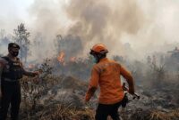 Ilustrasi Aparat Polri bersama tim gabungan memeriksa lokasi kebakaran hutan dan lahan guna proses penyelidikan.(poto: AI).