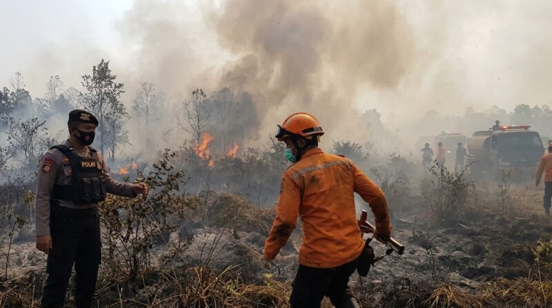 Ilustrasi Aparat Polri bersama tim gabungan memeriksa lokasi kebakaran hutan dan lahan guna proses penyelidikan.(poto: AI).