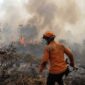 Ilustrasi Aparat Polri bersama tim gabungan memeriksa lokasi kebakaran hutan dan lahan guna proses penyelidikan.(poto: AI).