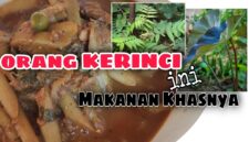 Gulai Keladi.(poto: youtube Alzam UA).