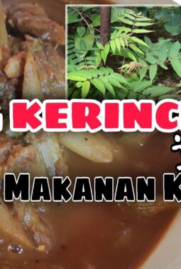 Resep Gulai Keladi Khas Kerinci yang Gurih